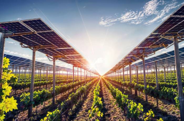 Impianto agrivoltaico: come unire energia rinnovabile e agricoltura sostenibile