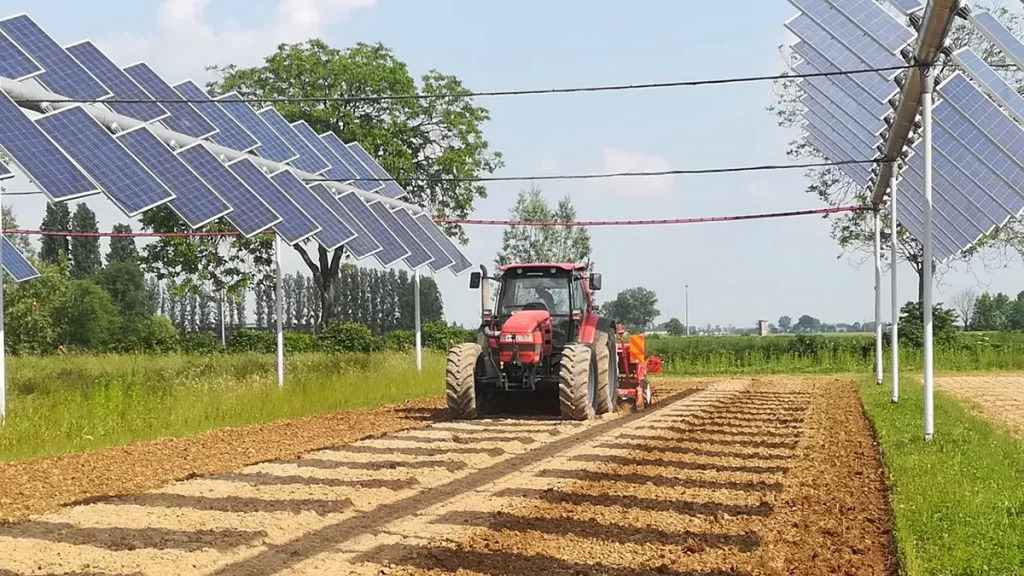 Coltivazioni di frutta protette da un moderno impianto agrivoltaico su terreno agricolo.